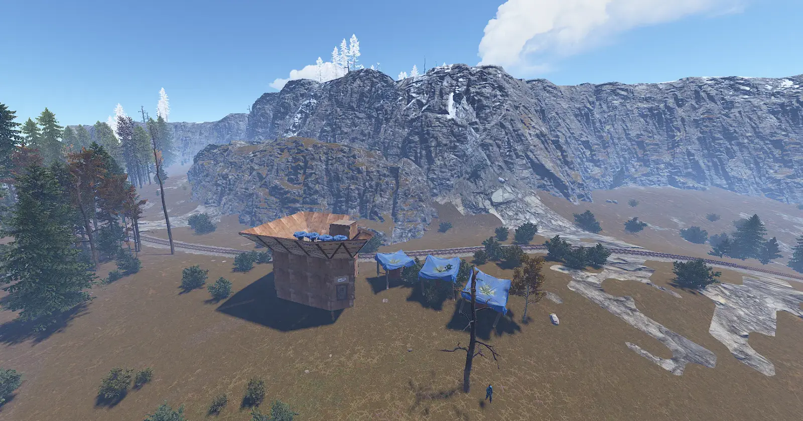 A player base with blue planters below a snowy cliff face